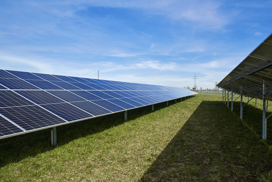 GP JOULE verkauft Blackhall Solar Farm in Irland an Elgin