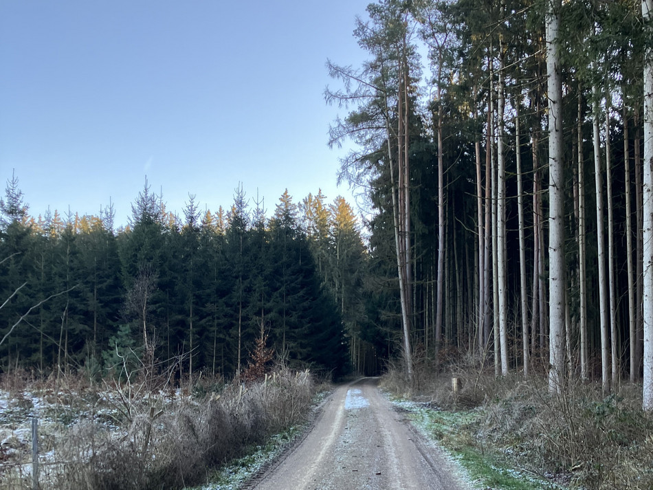 Startschuss für den Windpark Holzheim