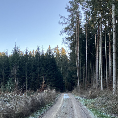 PM_PROJECTS_Holzheim_Baustart
