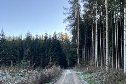 PM_PROJECTS_Holzheim_Baustart